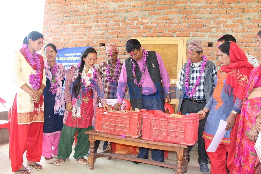 आफ्नै बारीमा उन्नत कृषि प्रविधिको अध्ययन गर्दै कपुरकोटका किसान