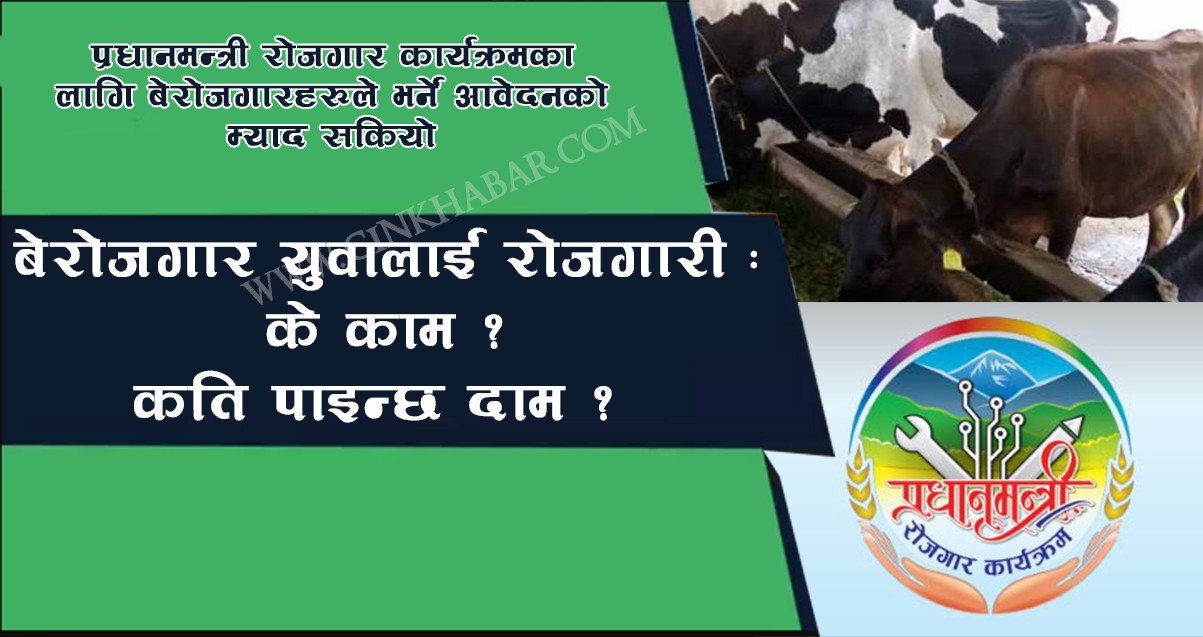 बेरोजगारलाई रोजगारी : के काम ? कति पाइन्छ दाम ?