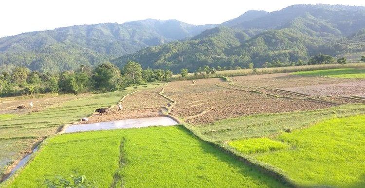 दश लाख हेक्टर क्षेत्रफलमा मात्रै सिंचाई सुविधा