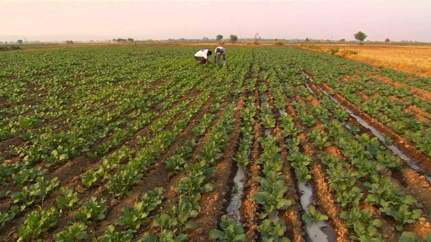 सुदुरपश्चिम प्रदेशका सबै स्थानीय तह पकेट क्षेत्र घोषणा हुँदै