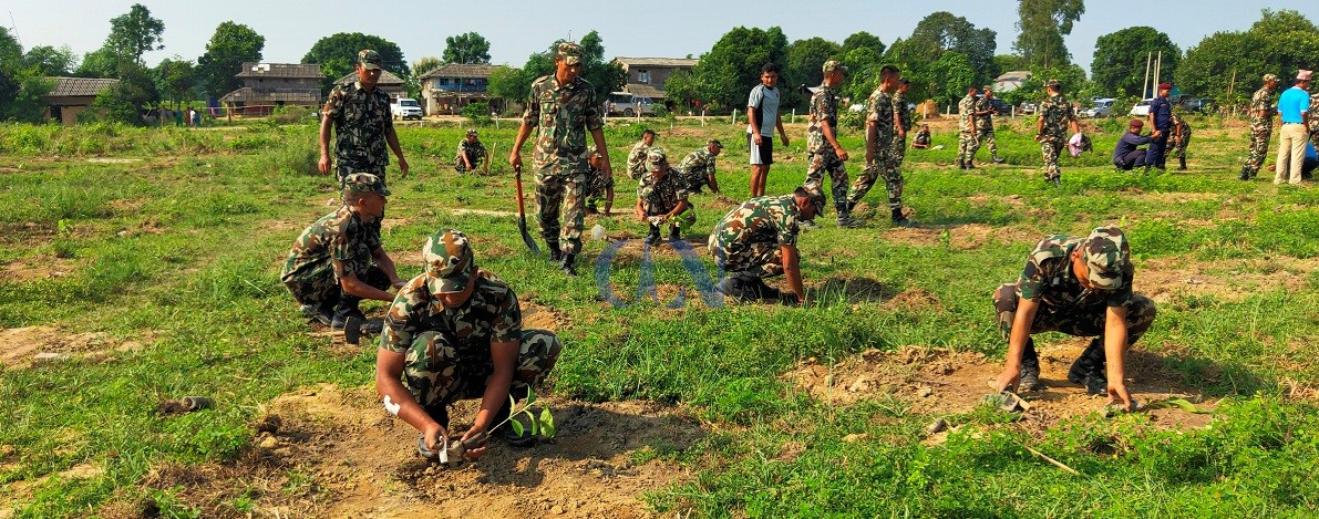 क्षतिपूर्तिबापतको रुख रोप्न जमिन अभाव