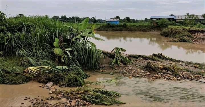 बाढीले बरुवाको पोखरीबाट ५० हजार माछा बगायो