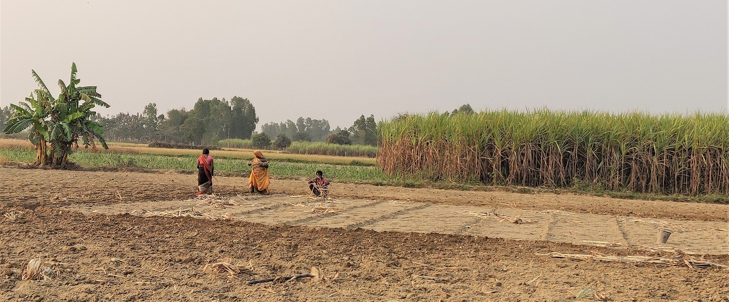 पानी नपर्दा तराइ, मधेशका किसानको खेत बाँझै (अडियोसहित)