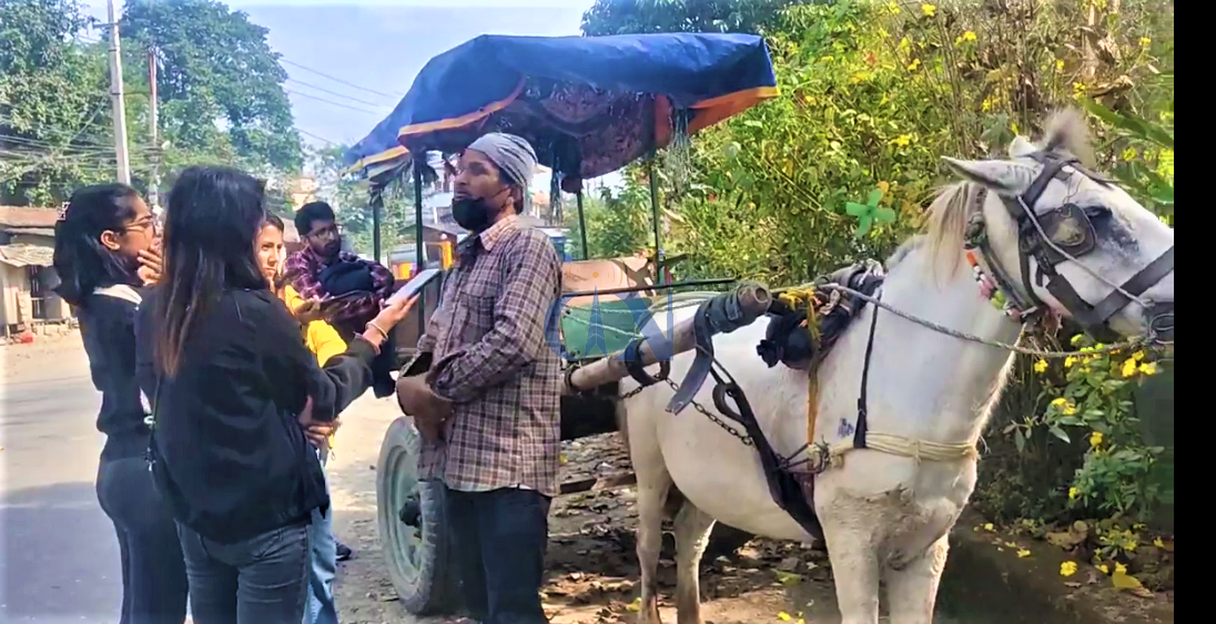 हराउँदै टाँगाको टक टक... 