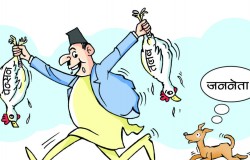 पेन्सनमाथि पारिश्रमिक: स्थानीय तहमा दोहोरो सुविधाको विकृति