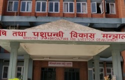 स्थानीय तहमा व्यवस्थित छैन तथ्याङ्क (अडियोसहित)