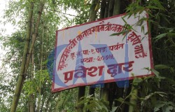 अर्गानिक उत्पादनमा जोड (अडियो सहित)