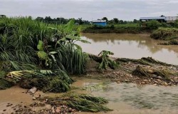 बाढीले बरुवाको पोखरीबाट ५० हजार माछा बगायो