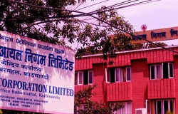 गएरातिदेखि लागु हुने गरी डिजेल र मट्टितेलको भाउ बढ्यो