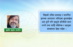 पाका मानिसको मस्तिष्क स्फूर्तिमा भिटामिनको भूमिका