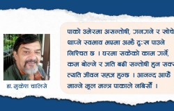 ठूल्दाइले भन्थे–आनन्द आफैँ मान्ने हो