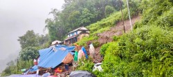 पर्वतको लाङ्दीमा पहिरोले घर पुरिँदा वृद्ध दम्पत्ति वेपत्ता