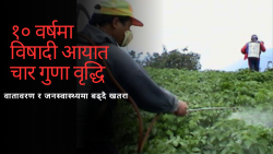 १० वर्षमा विषादी आयात चार गुणा वृद्धि : नेपालीको हरेक भान्सामा विषादी