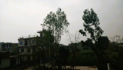 मधेशमा पनि हावाहुरीसहित वर्षा 