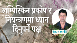 लम्पी स्किन इतिहास र नेपालमा सङ्क्रमणको जोखिम