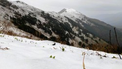 रुकुम पूर्वका उच्च पहाडी र हिमाली क्षेत्रमा हिउँ र पानी परेपछि किसान खुसी