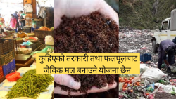 कालीमाटी बजारमा फोहोर व्यवस्थापनमा झण्डै करोडको खर्च, जैविक मल बनाउन छैन चासो