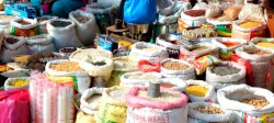 शुपथ मूल्य पसल आजदेखि सञ्चालनमा