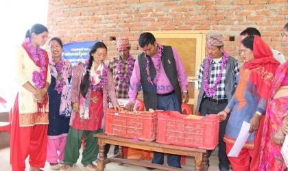 आफ्नै बारीमा उन्नत कृषि प्रविधिको अध्ययन गर्दै कपुरकोटका किसान