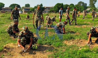 क्षतिपूर्तिबापतको रुख रोप्न जमिन अभाव