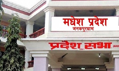 मधेस प्रदेशका तीन स्थानीय तहले अझैँ बजेट ल्याएनन्
