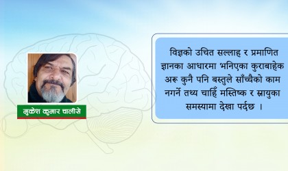 पाका मानिसको मस्तिष्क स्फूर्तिमा भिटामिनको भूमिका