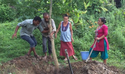 कस्ता विरुवा रोप्ने ?