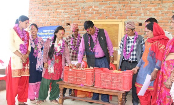 आफ्नै बारीमा उन्नत कृषि प्रविधिको अध्ययन गर्दै कपुरकोटका किसान