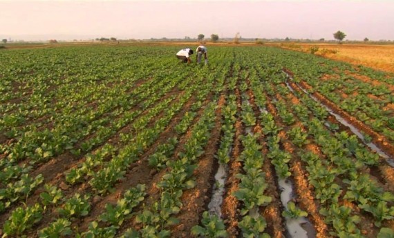 सुदुरपश्चिम प्रदेशका सबै स्थानीय तह पकेट क्षेत्र घोषणा हुँदै