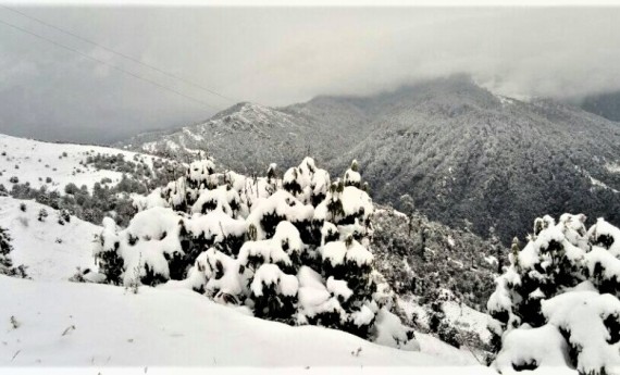 सोलुखुम्बुमा हिमपात, खुम्बु क्षेत्र सेताम्मे