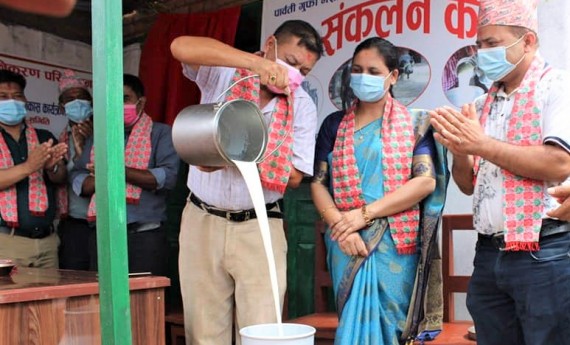 पर्वतको पाङका किसान भैँसीँपालनमा आकर्षित