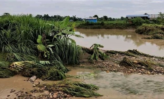 बाढीले बरुवाको पोखरीबाट ५० हजार माछा बगायो