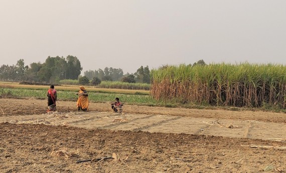 पानी नपर्दा तराइ, मधेशका किसानको खेत बाँझै (अडियोसहित)