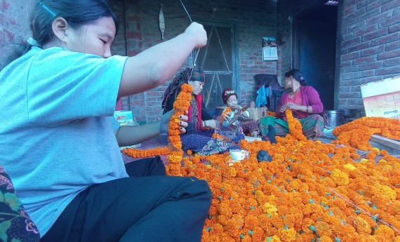 फूल माला गाँस्न भ्याइ नभ्याई