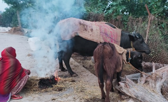 शीत लहरबाट जोगिने उपाय खोजेनन् पालिकाले