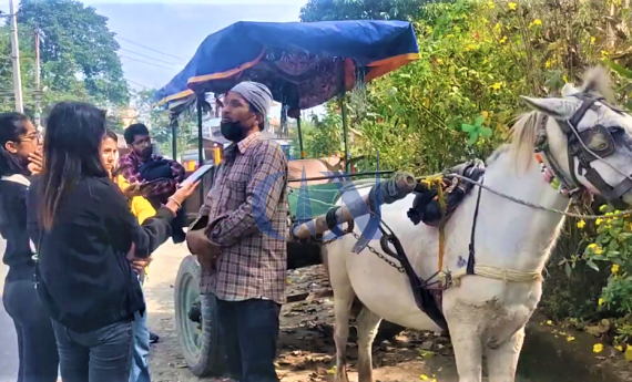 हराउँदै टाँगाको टक टक... 