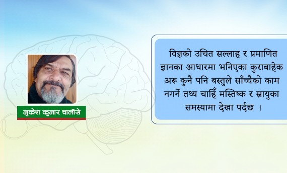 पाका मानिसको मस्तिष्क स्फूर्तिमा भिटामिनको भूमिका