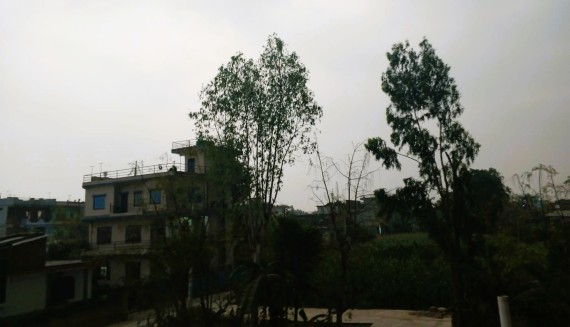 मधेशमा पनि हावाहुरीसहित वर्षा 