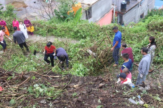 सल्यानमा मिचाहा प्रजातिको झार नियन्त्रणका लागि अभियान सुरु