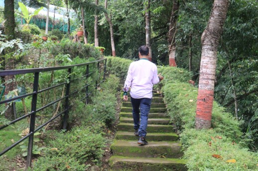 सल्यानको मूलपानी वनस्पति केन्द्र पर्यटकको आकर्षण बन्दै
