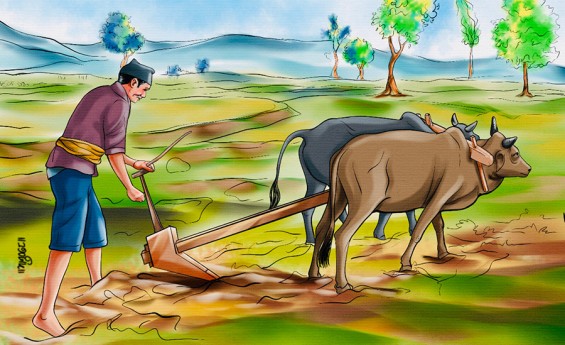८ वर्ष बित्दा पनि ‘असल कृषि अभ्यास’मा किसान सहभागी शून्य