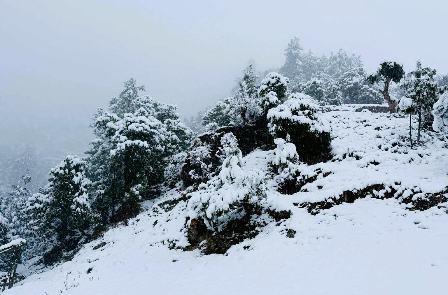 रुकुम पूर्वका विभिन्न वडा क्षेत्रमा हिउँ पर्दा जनजीवन प्रभावित