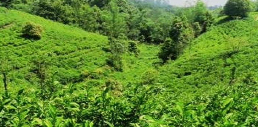 श्रम ऐन लागु भयो तर कार्यान्वयन भएन