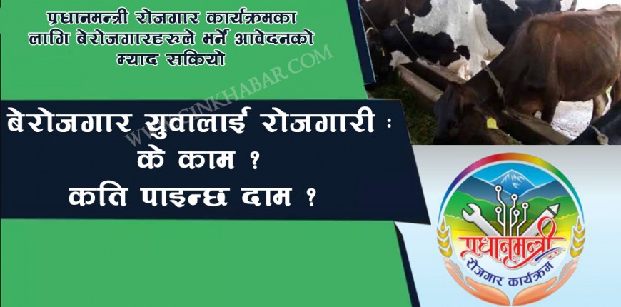 बेरोजगारलाई रोजगारी : के काम ? कति पाइन्छ दाम ?