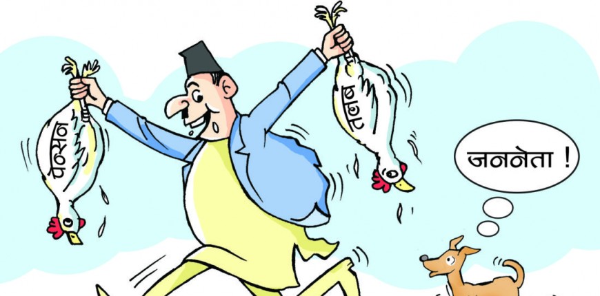 पेन्सनमाथि पारिश्रमिक: स्थानीय तहमा दोहोरो सुविधाको विकृति