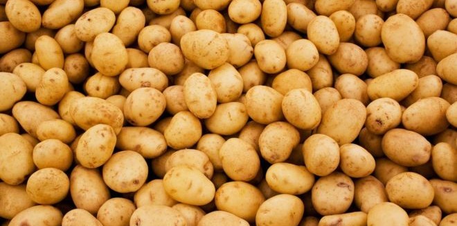 बागलुङका किसान आलुबाट आत्मनिर्भर