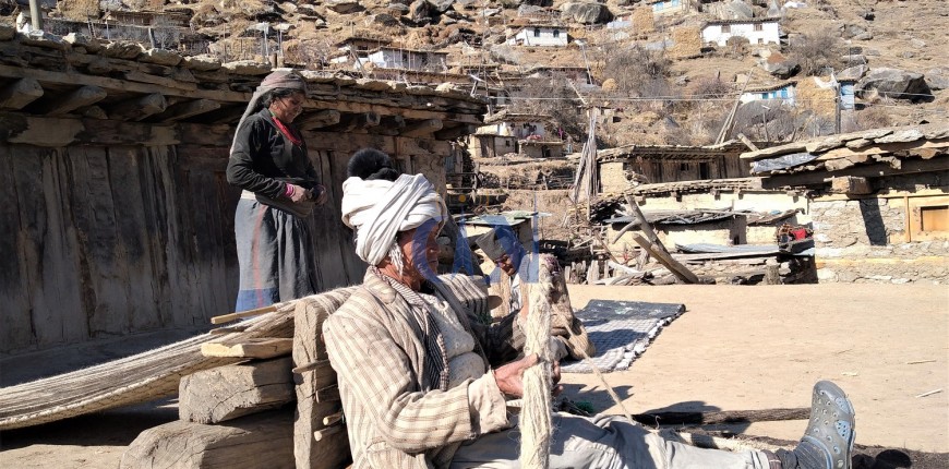 भेडा पालनबाट कसरी समृद्ध बन्यो जुम्लाको'लर्मी गाउँ'?(अडियोसहित)