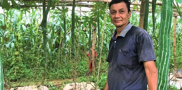 बिदेशबाट फर्किएर गाउमै कृषि कर्म