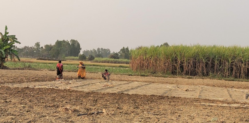पानी नपर्दा तराइ, मधेशका किसानको खेत बाँझै (अडियोसहित)