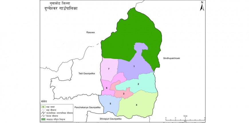 झाडापखालाबाट नुवाकोटको दुप्चेश्वरका दुई जनाको मृत्यु, पाँच जना बिरामी